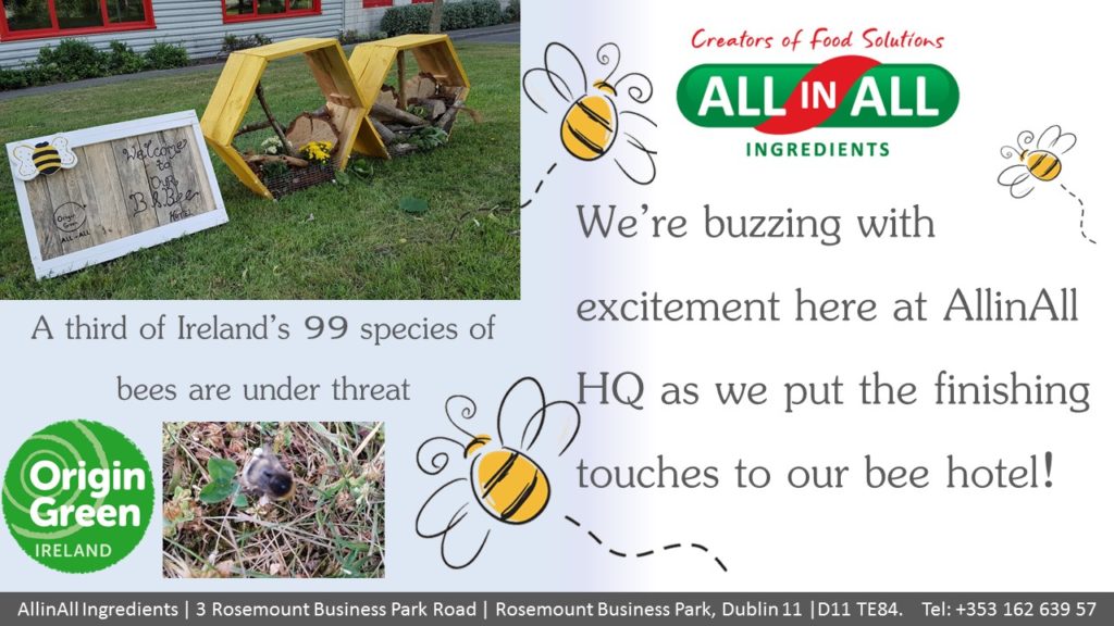 AllinAll marketing material graphic - bee hotel